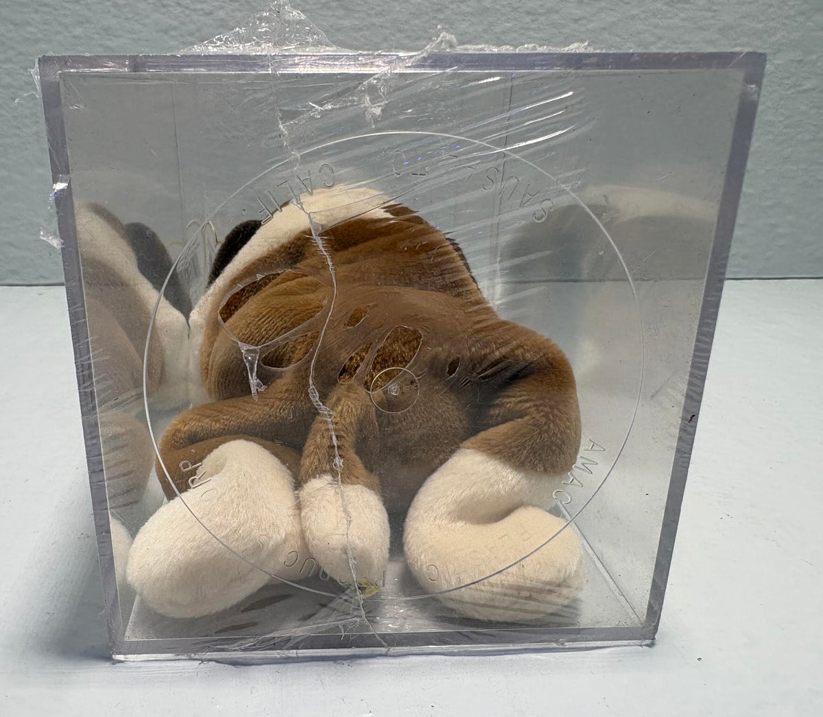 ( shf 01 ) Ty Beanie Baby: Bernie the St. Bernard Dog | Stuffed Animal | MWMT