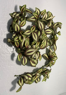 ( shf 30 ) Artificial Autumn Leaf Garland