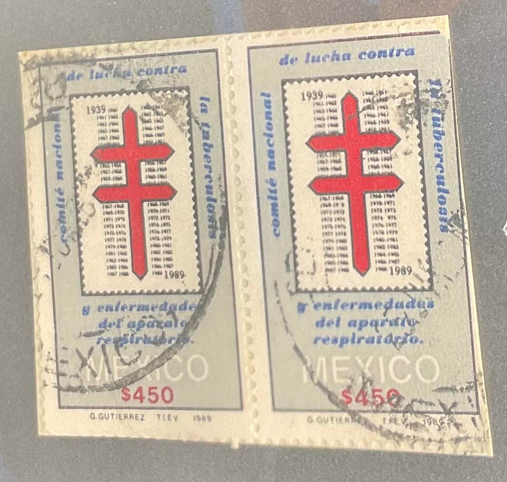 ( shf 32 ) Mexico, 1989 – 50th Anniversary of the National Tuberculosis Foundation, MNH