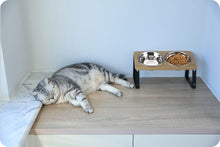 ( shf 14 ) AYADA Elevated Cat Bowls Height Adjustable with Stand (Stainless Steel)