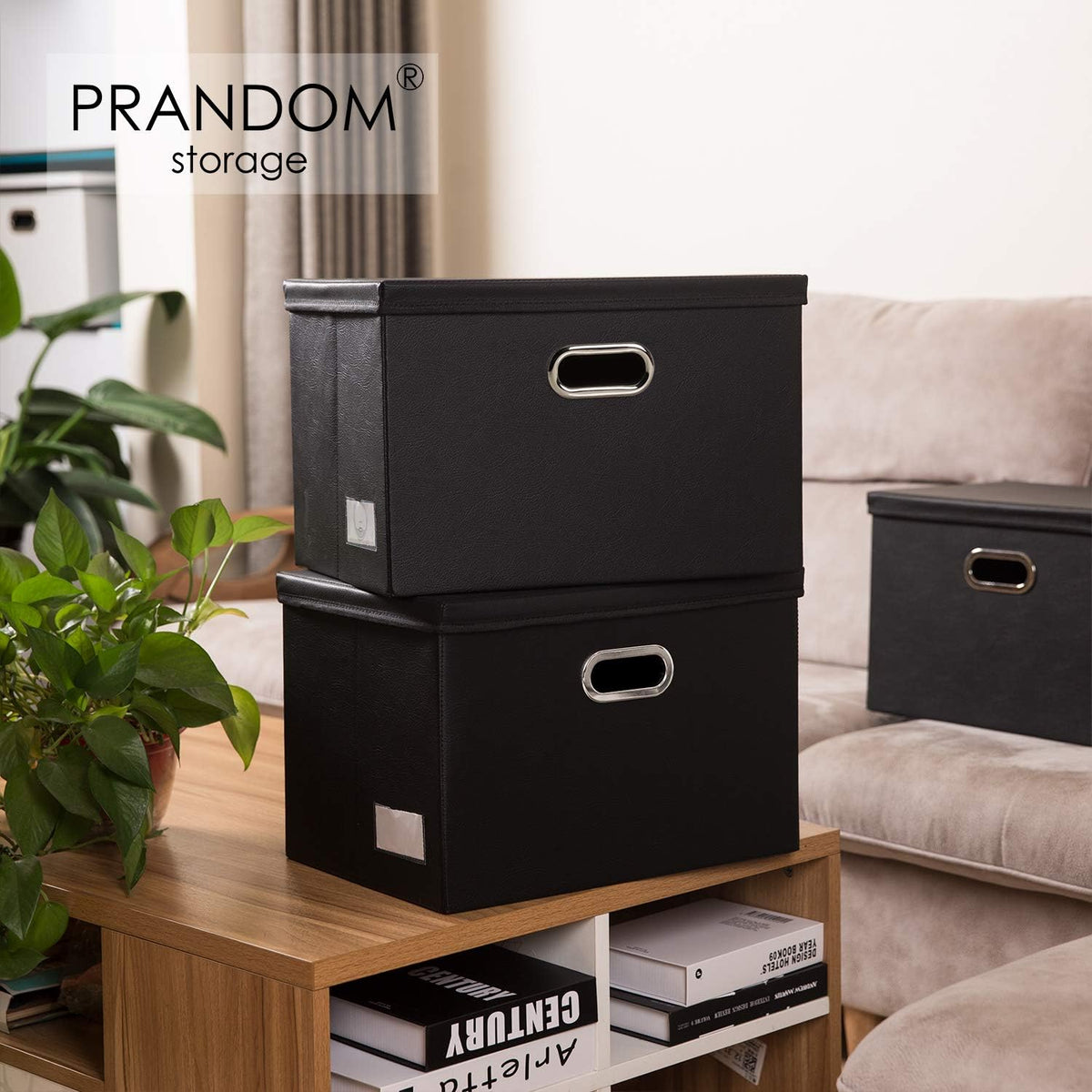 ( shf 25 ) PRANDOM Large Foldable Storage Bins with Lids