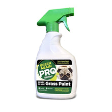 ( shf 14 ) Pre-Mixed Grass and Turf Paint - All Natural Pet