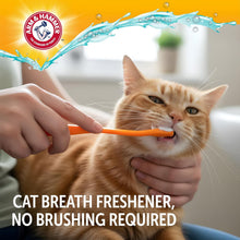 (Shf 14) Arm & Hammer CompleteCare Cat & Kitten Dental Kit