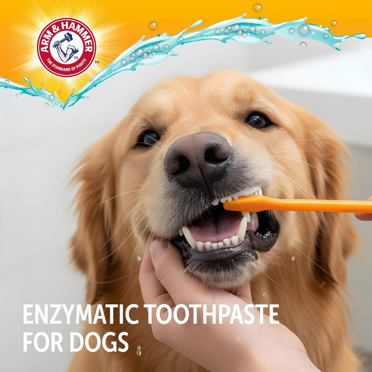 ( shf 14 ) Arm and Hammer Complete Care Dog Dental Kit, Chicken