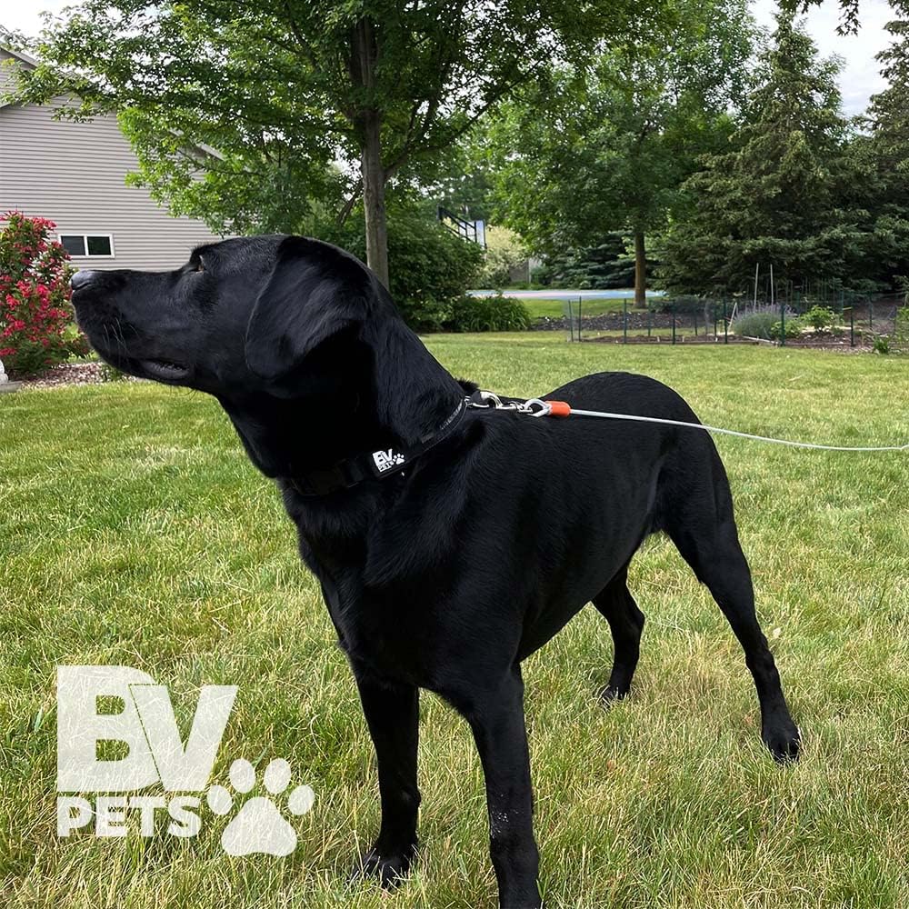 ( shf 14 )  BV Dog Tie Out Cable 25 Feet - Heavy Duty Dog Lead up to 90 Pounds