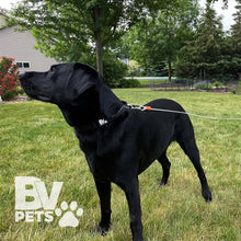 ( shf 14 )  BV Dog Tie Out Cable 25 Feet - Heavy Duty Dog Lead up to 90 Pounds