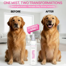 ( shf 14 ) BioSilk for Dogs Silk Therapy Detangling and Shine Spray