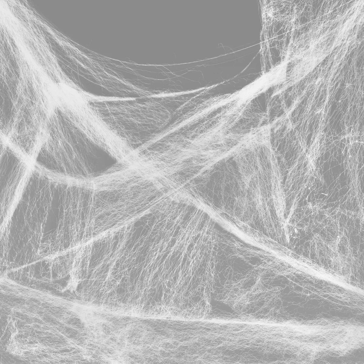 ( shf L ) Spider Webs