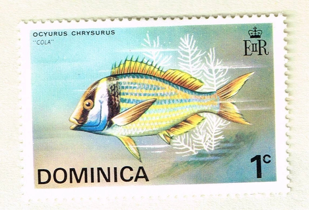 ( shf 32 ) Stamp from the Island of Dominica (1984) – Marine Fauna: Kola Fish
